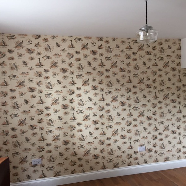 0bf6dca1-3e66-4f5c-8791-15840ce28986