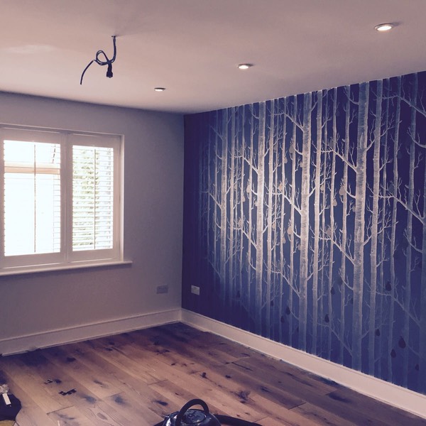 cb88561e-d7f3-4970-b0e5-489bff9b0285