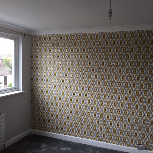 d11ea950-c6e0-4821-8dc9-66ddcd8ce230